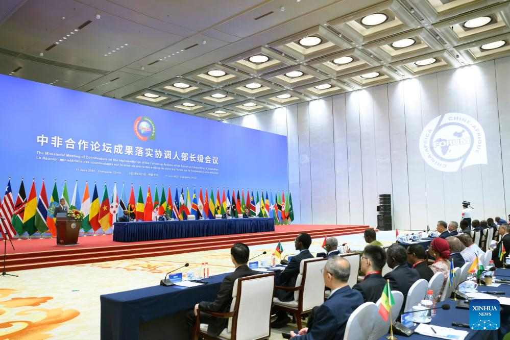 China, Africa push implementation of FOCAC Beijing Summit outcomes