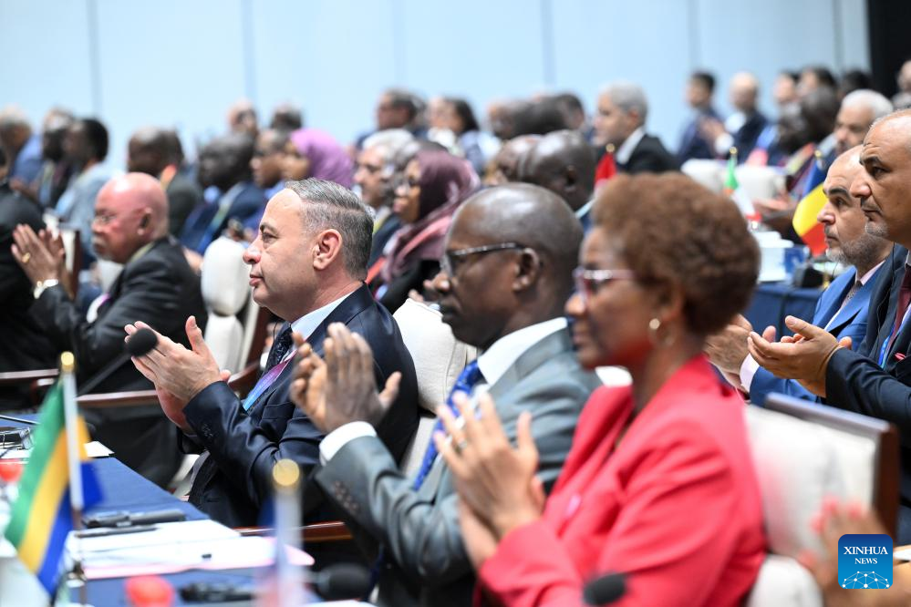 China, Africa push implementation of FOCAC Beijing Summit outcomes