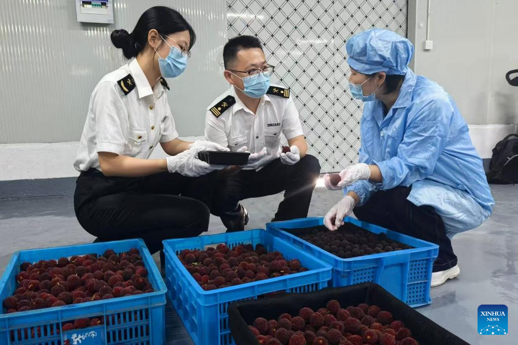 Across China: China's delicate waxberries go global with smart logistics support