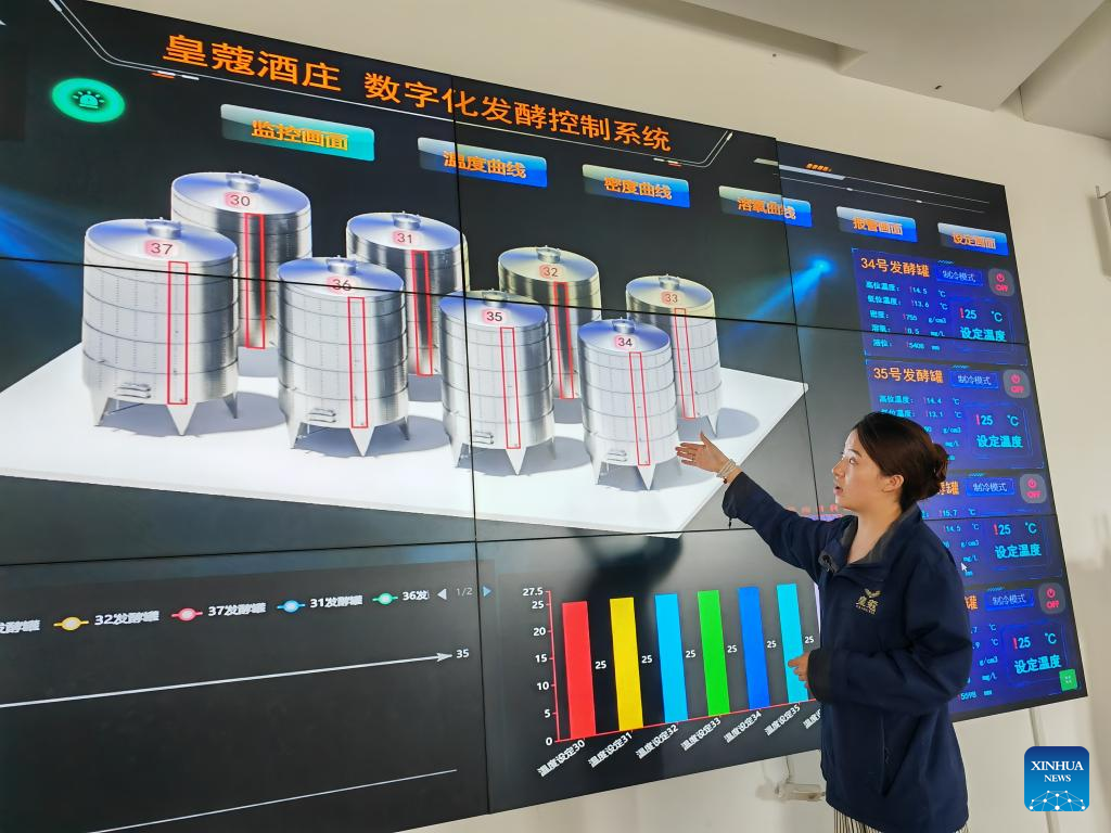 Across China: Smart tech fuels dynamic growth in northwest China wine industry