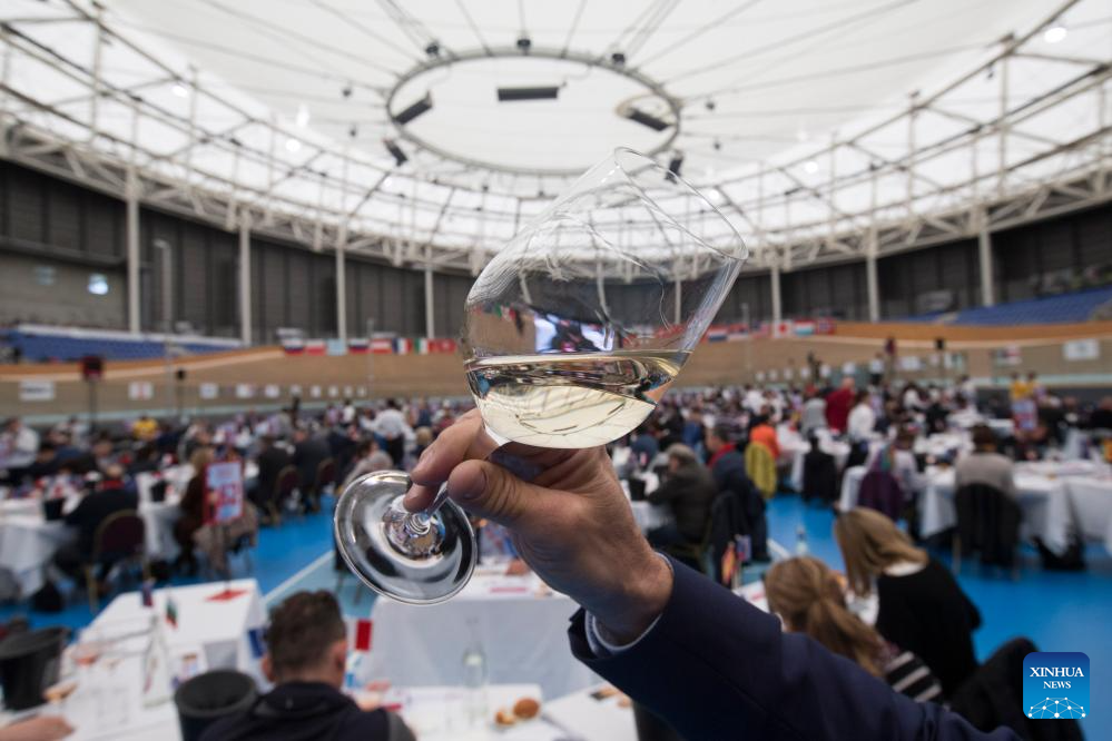 Wine products from NW China's Ningxia gain int'l popularity