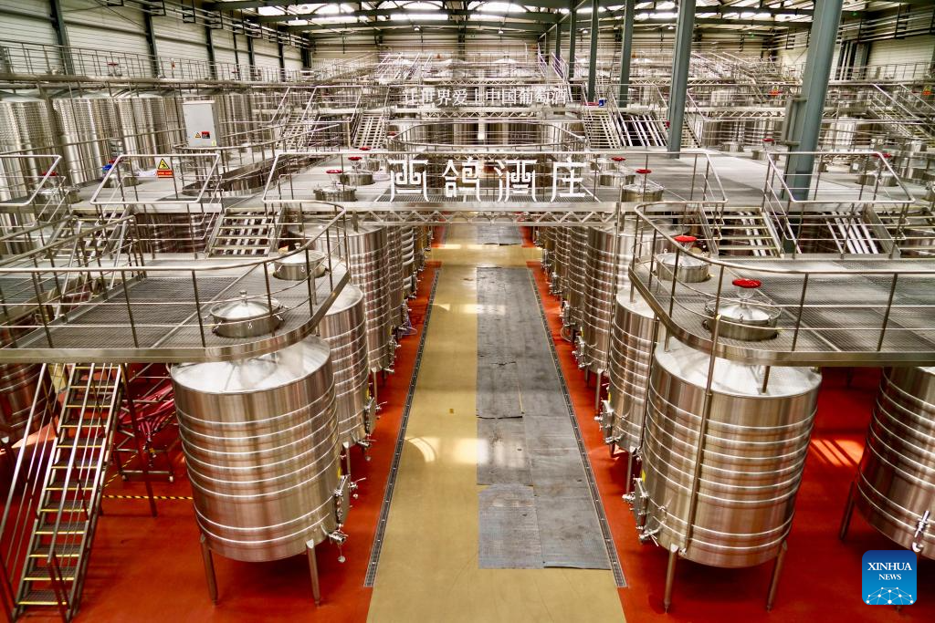 Wine products from NW China's Ningxia gain int'l popularity