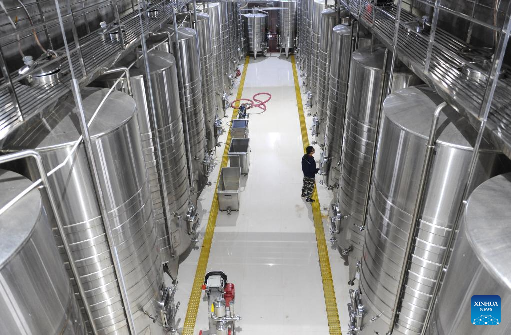 Wine products from NW China's Ningxia gain int'l popularity