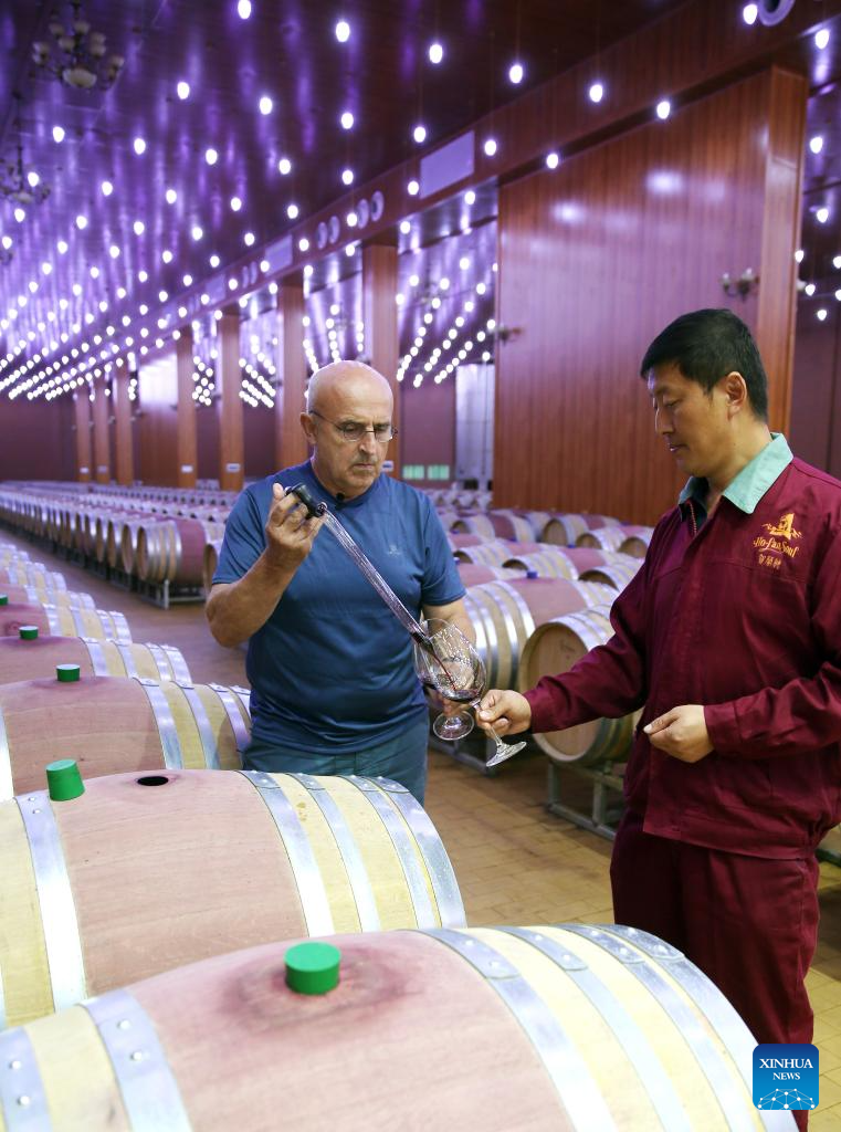 Wine products from NW China's Ningxia gain int'l popularity