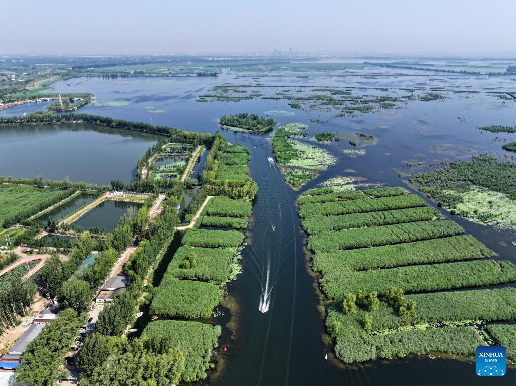 Scenery of Baiyangdian Lake, Xiongan New Area of China's Hebei