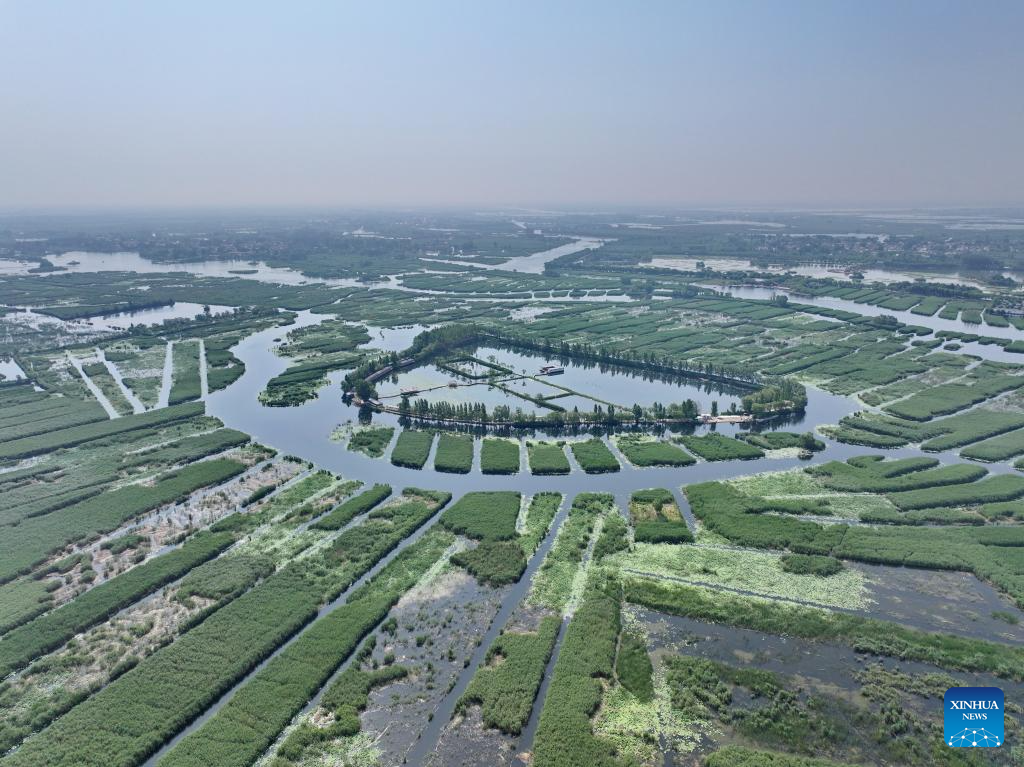 Scenery of Baiyangdian Lake, Xiongan New Area of China's Hebei