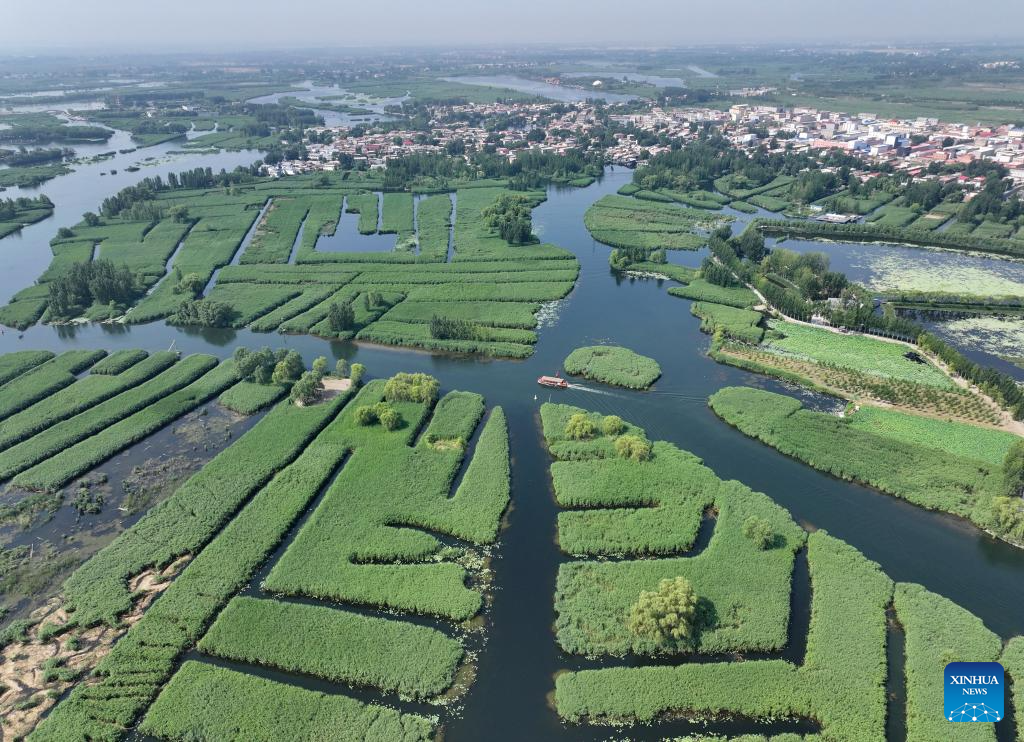 Scenery of Baiyangdian Lake, Xiongan New Area of China's Hebei