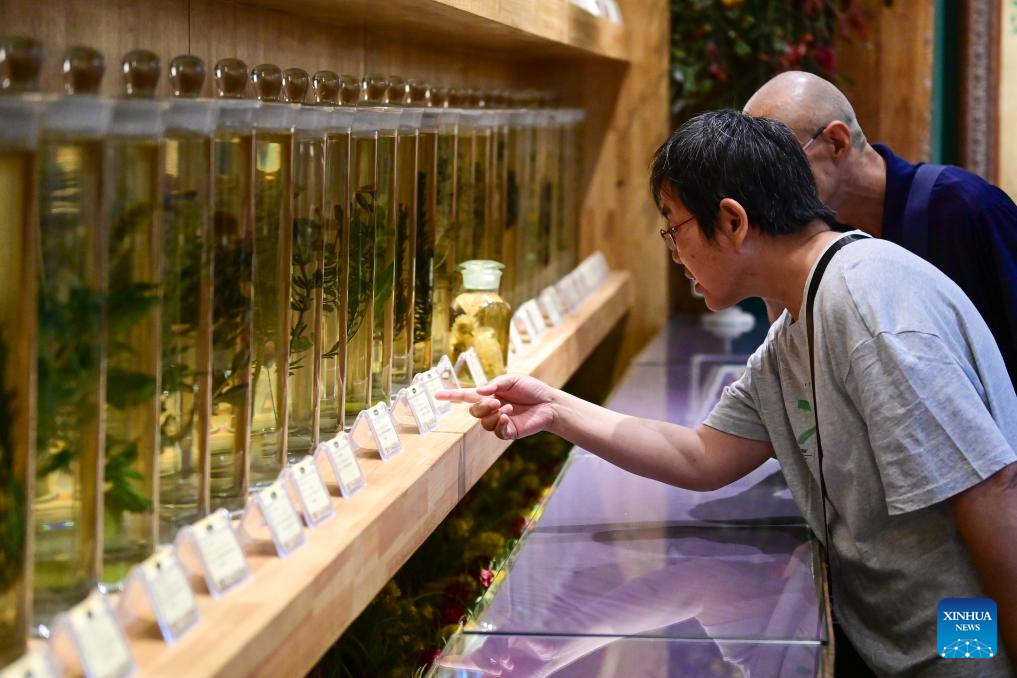Lavender tourism festival promotes economic development in China's Xinjiang