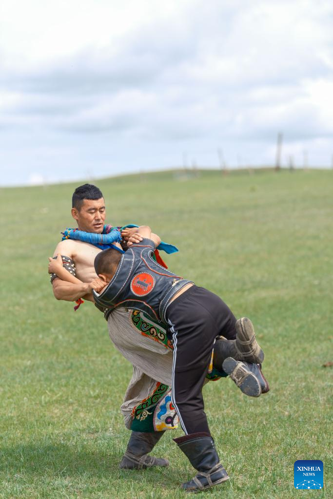 Pic story of Mongolian wrestlers in China's Inner Mongolia