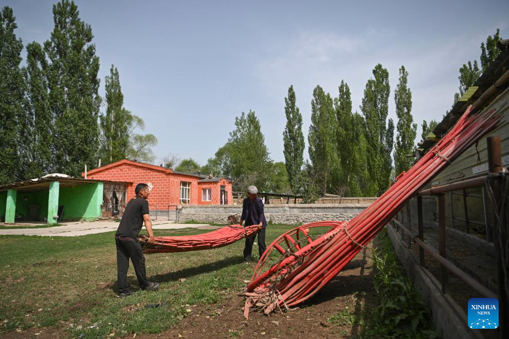 Herder and his summer pasture transfer in NW China's Xinjiang