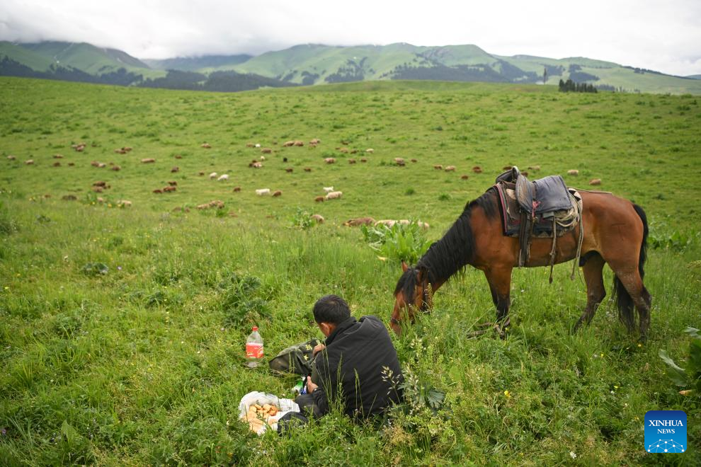 Herder and his summer pasture transfer in NW China's Xinjiang