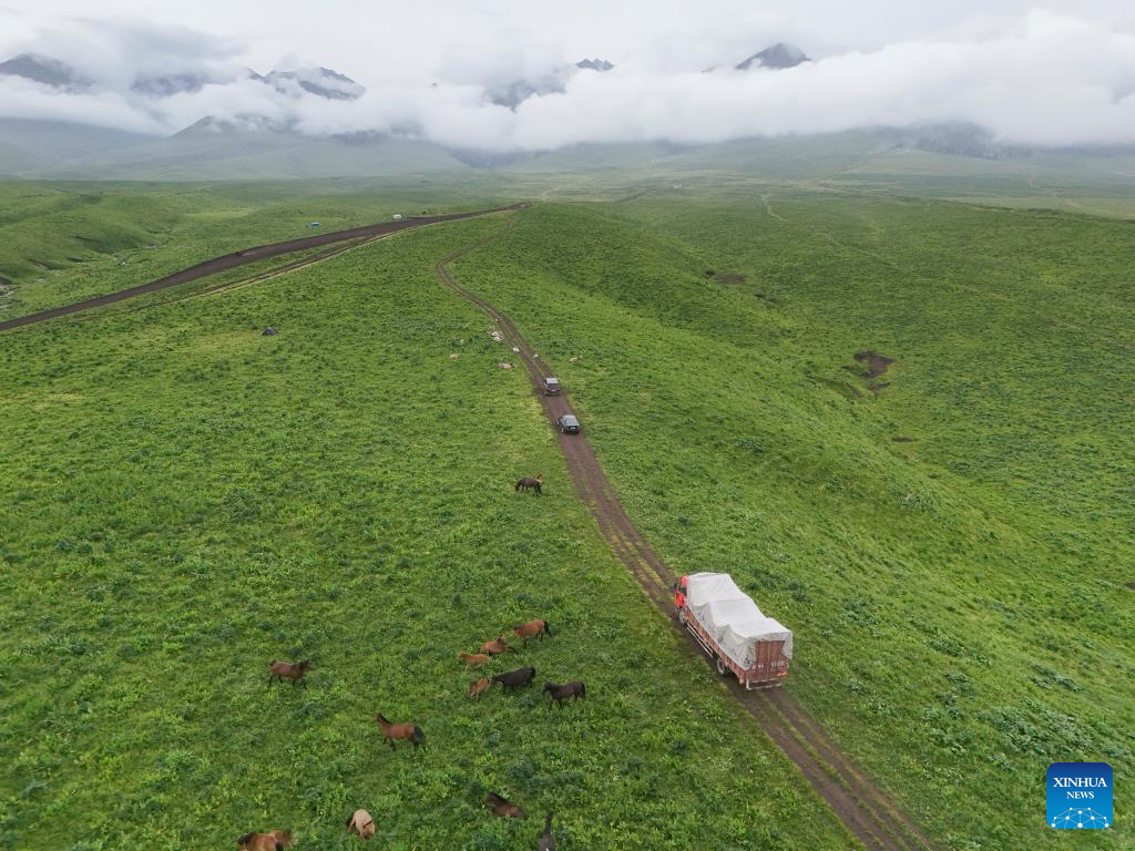 Herder and his summer pasture transfer in NW China's Xinjiang