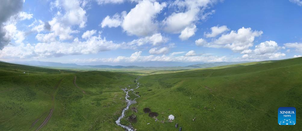 Herder and his summer pasture transfer in NW China's Xinjiang