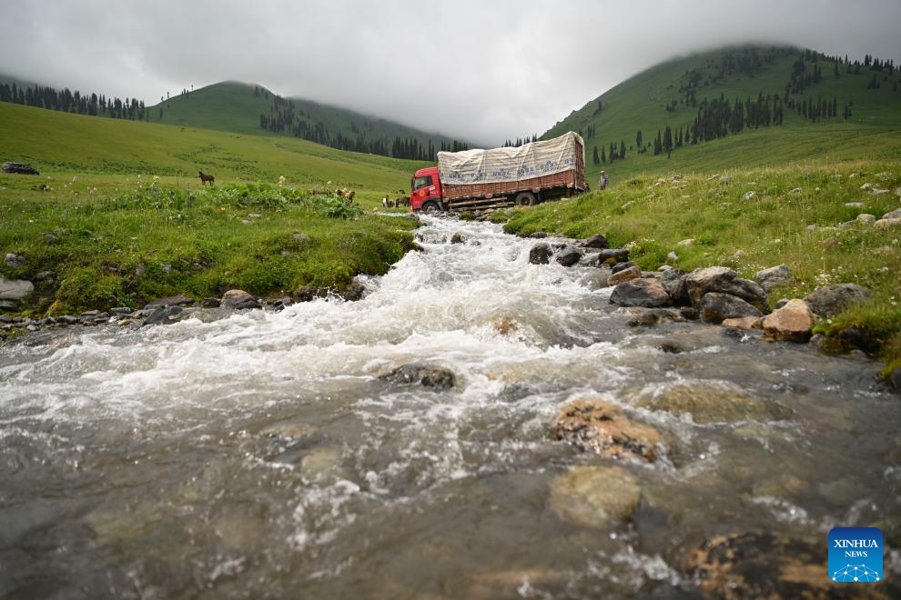 Herder and his summer pasture transfer in NW China's Xinjiang