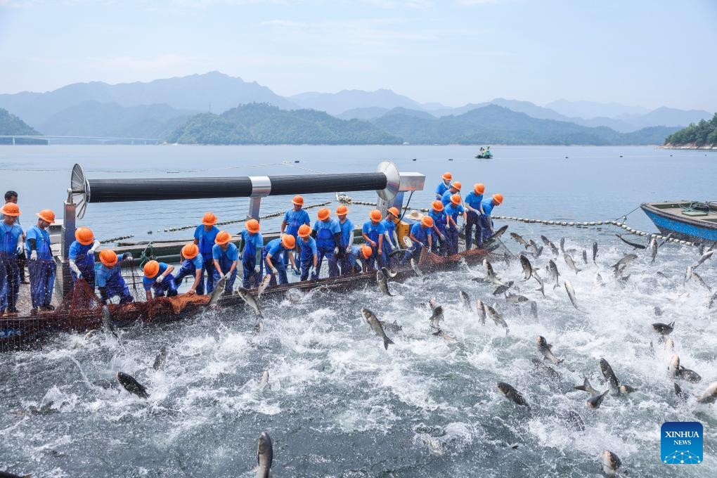 Zhejiang's Chun'an County: A model for ecological protection and construction