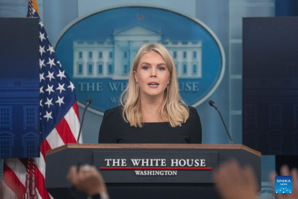 Trump to decide on Iran action in 2 weeks: White House