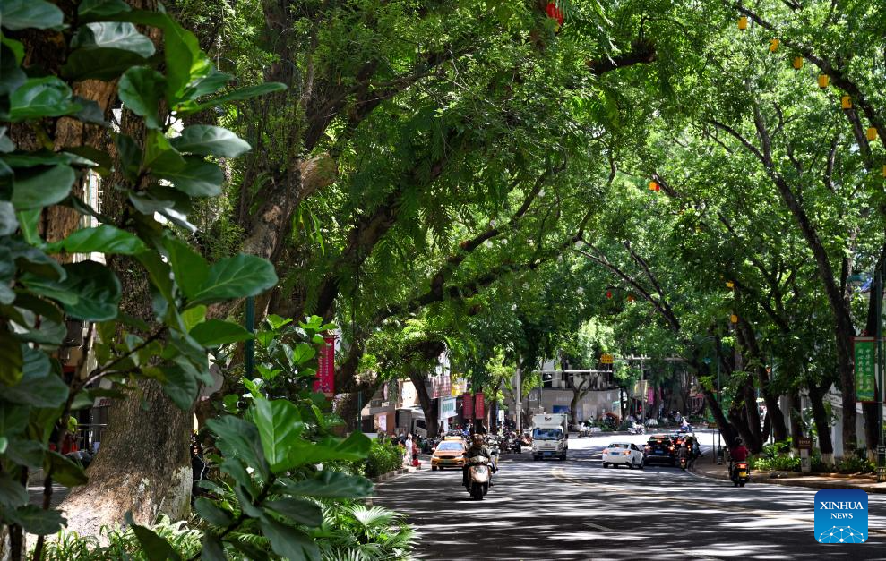Scenery of Wuzhishan City in south China's Hainan