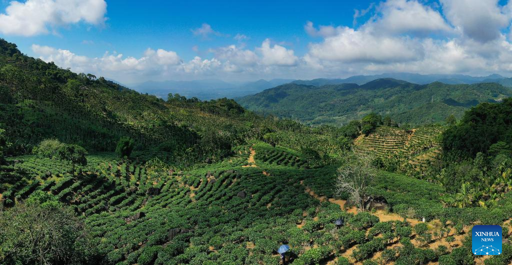 Scenery of Wuzhishan City in south China's Hainan