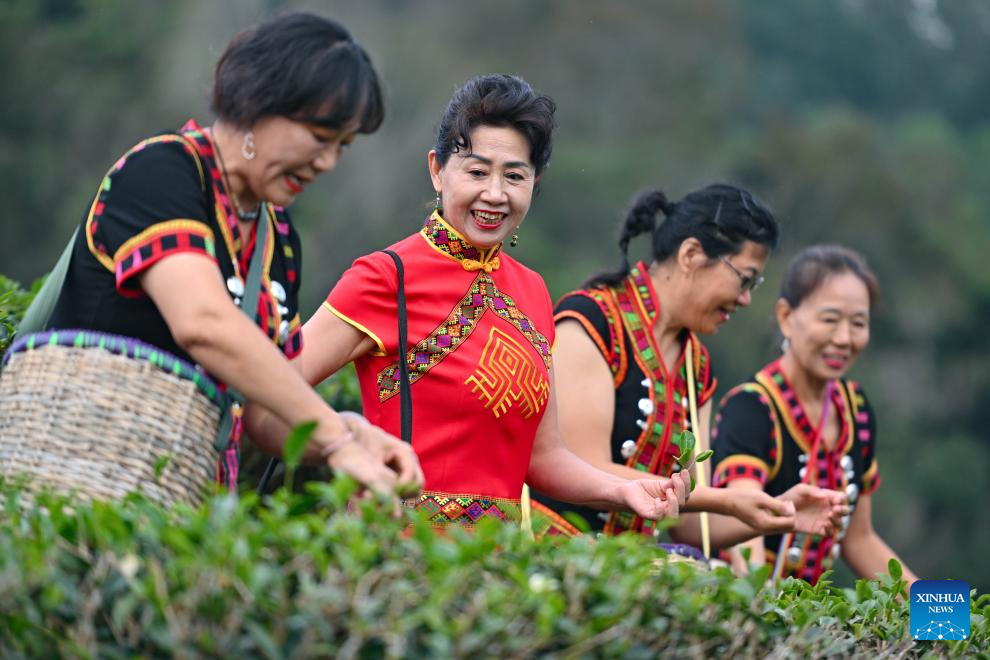 Scenery of Wuzhishan City in south China's Hainan