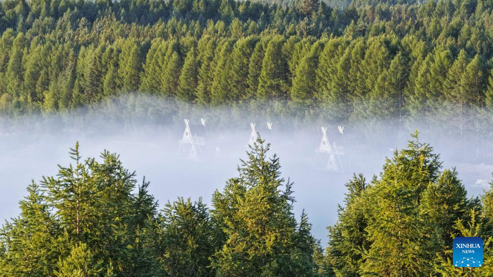 Scenery of Saihanba National Forest Park in Chengde City, China's Hebei