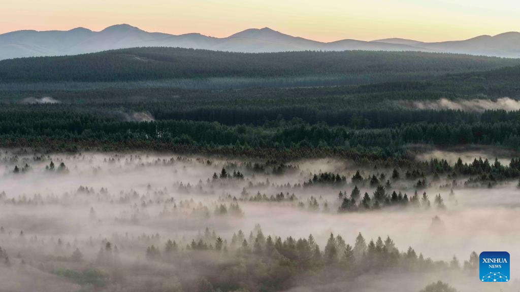 Scenery of Saihanba National Forest Park in Chengde City, China's Hebei