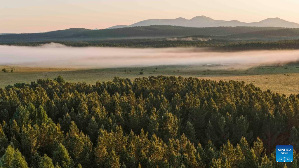 Scenery of Saihanba National Forest Park in Chengde City, China's Hebei