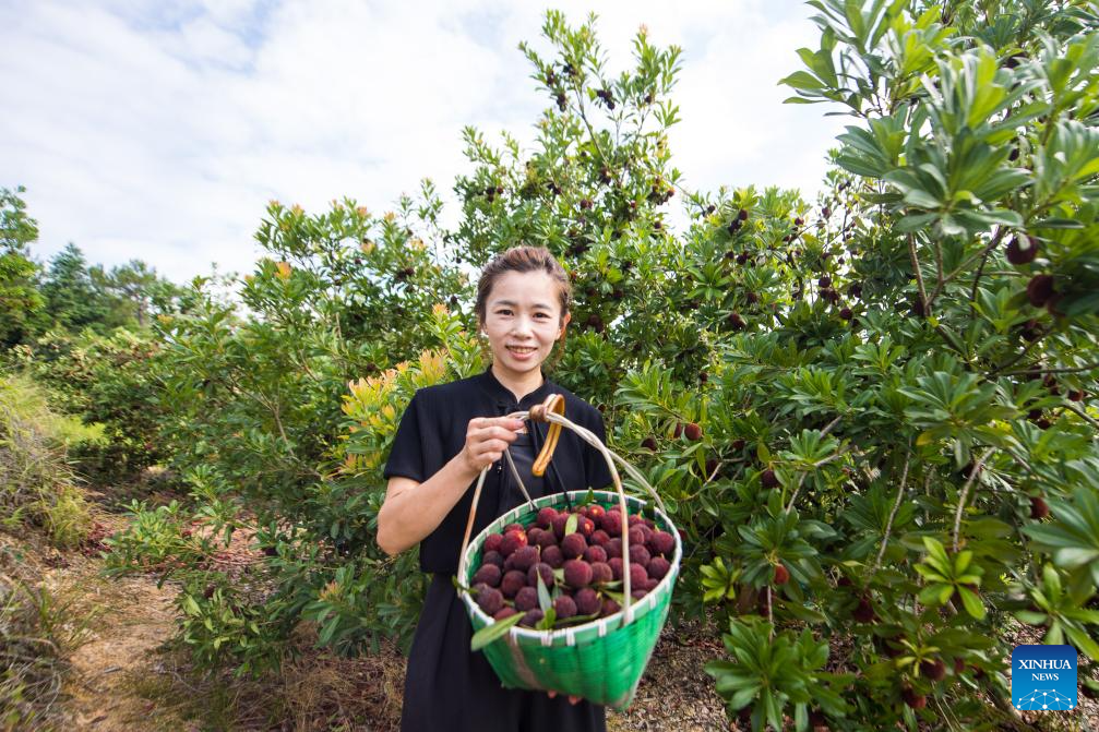 China's Zhejiang exports fresh Dongkui waxberries to Germany