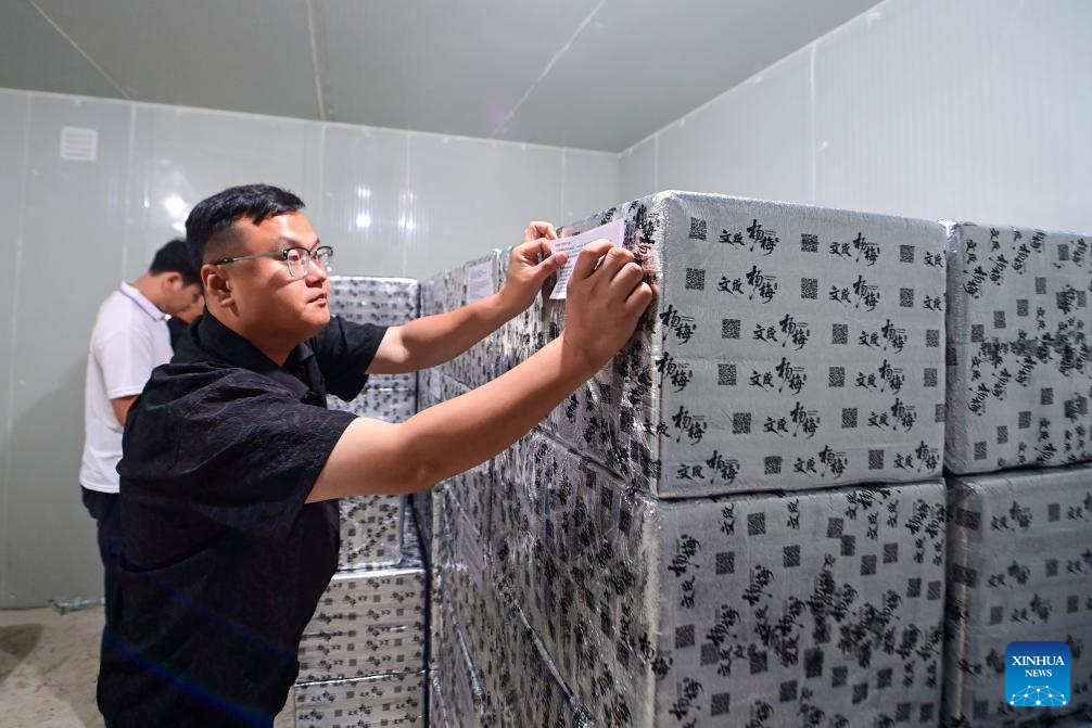 China's Zhejiang exports fresh Dongkui waxberries to Germany
