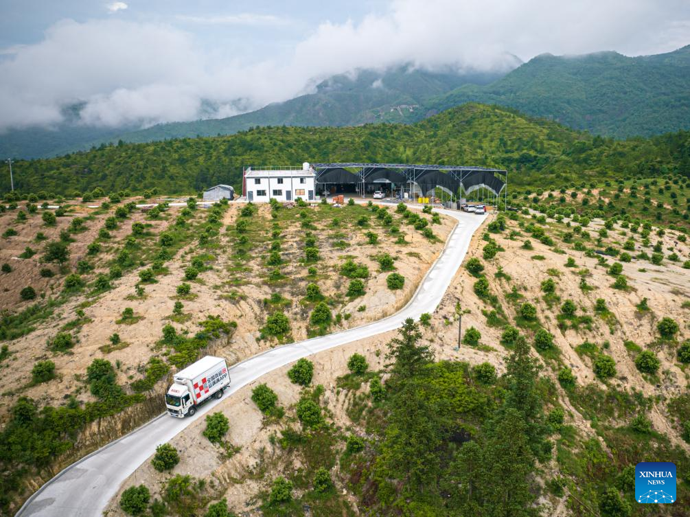 China's Zhejiang exports fresh Dongkui waxberries to Germany