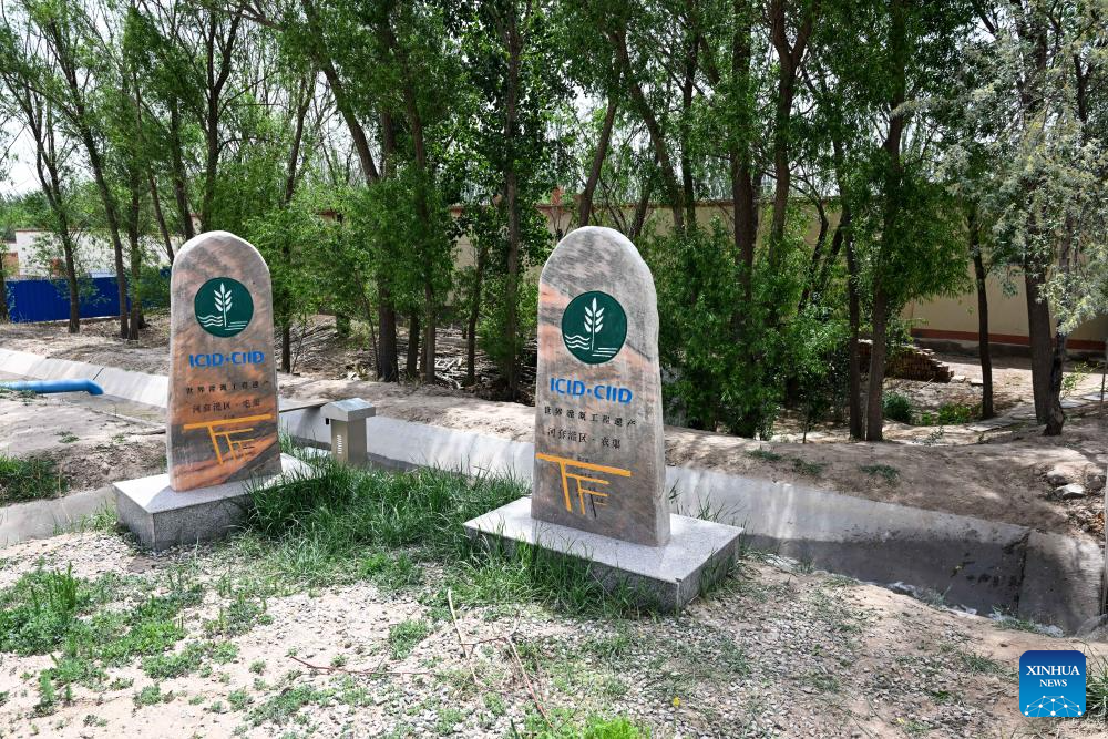 In pics: Hetao Irrigation Area in China's Inner Mongolia