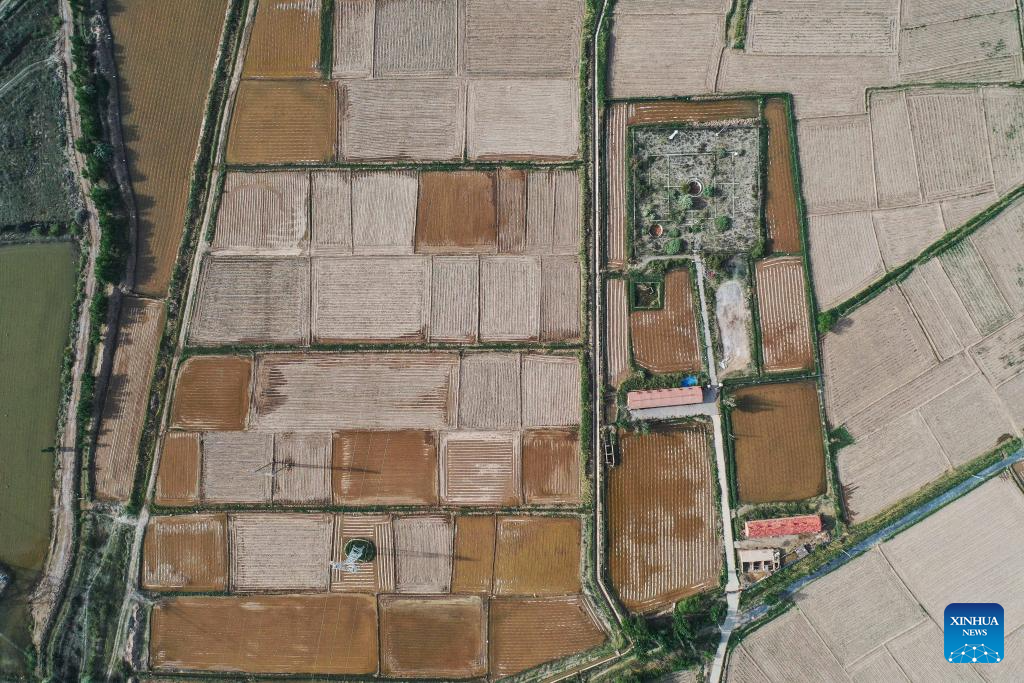 In pics: Hetao Irrigation Area in China's Inner Mongolia