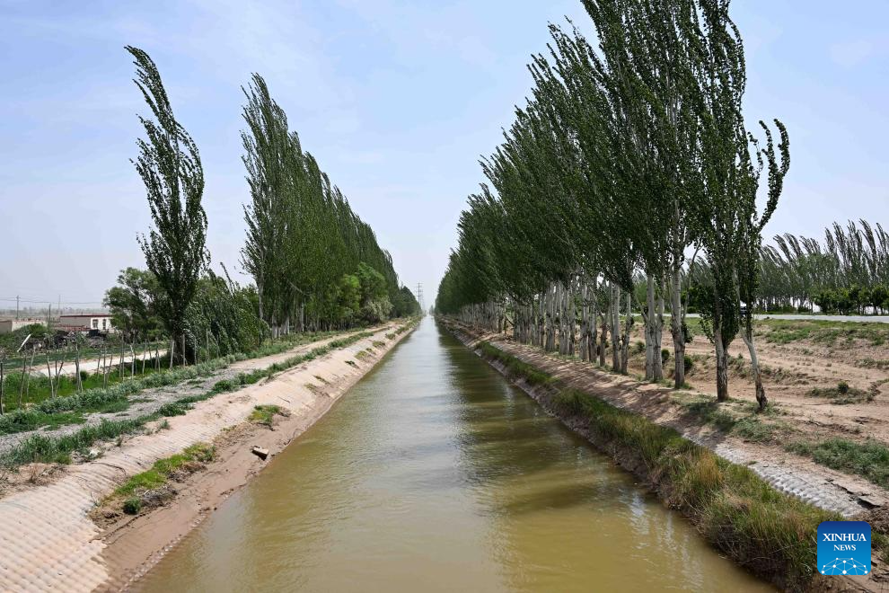 In pics: Hetao Irrigation Area in China's Inner Mongolia