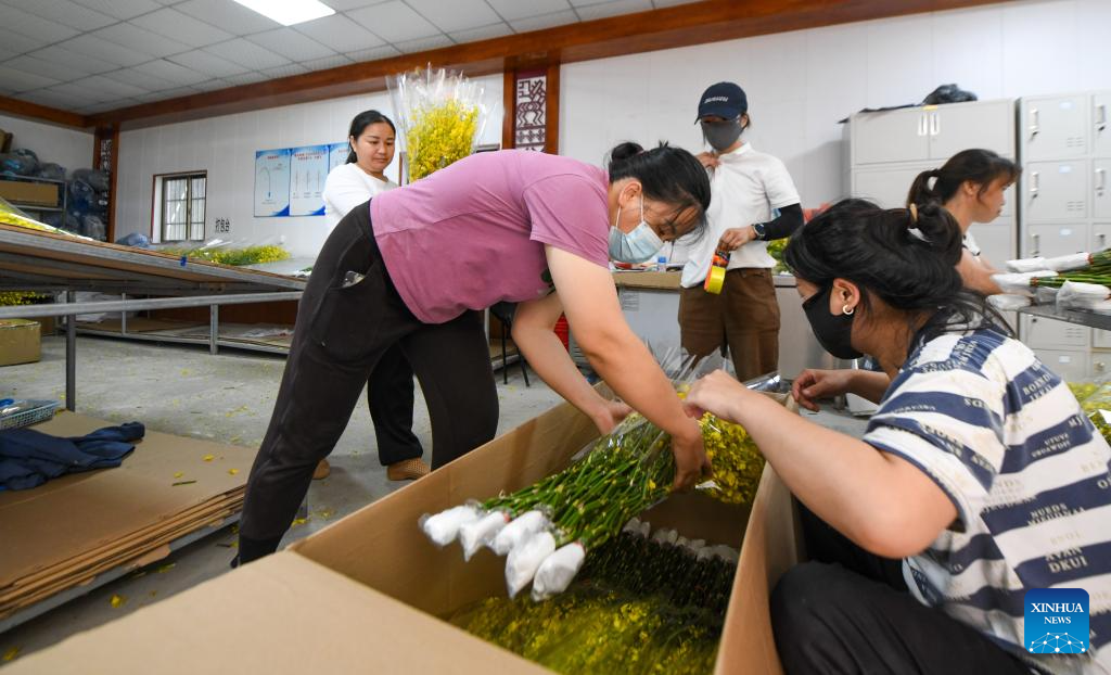 Orchid industry boosts rural revitalization in Da'an, Hainan