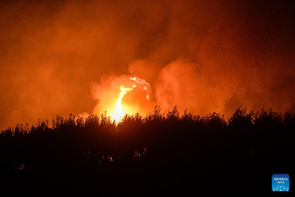 Forest fire breaks out in Türkiye's western province of Izmir