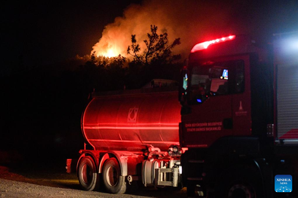 Forest fire breaks out in Türkiye's western province of Izmir