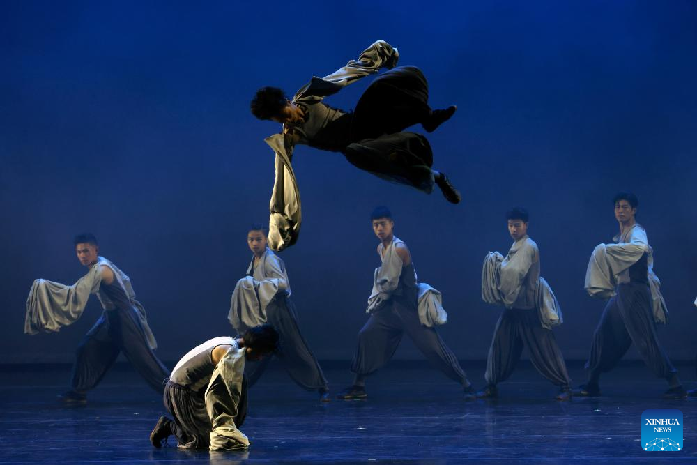 Chinese Kung Fu dance drama captivates Romanian audience