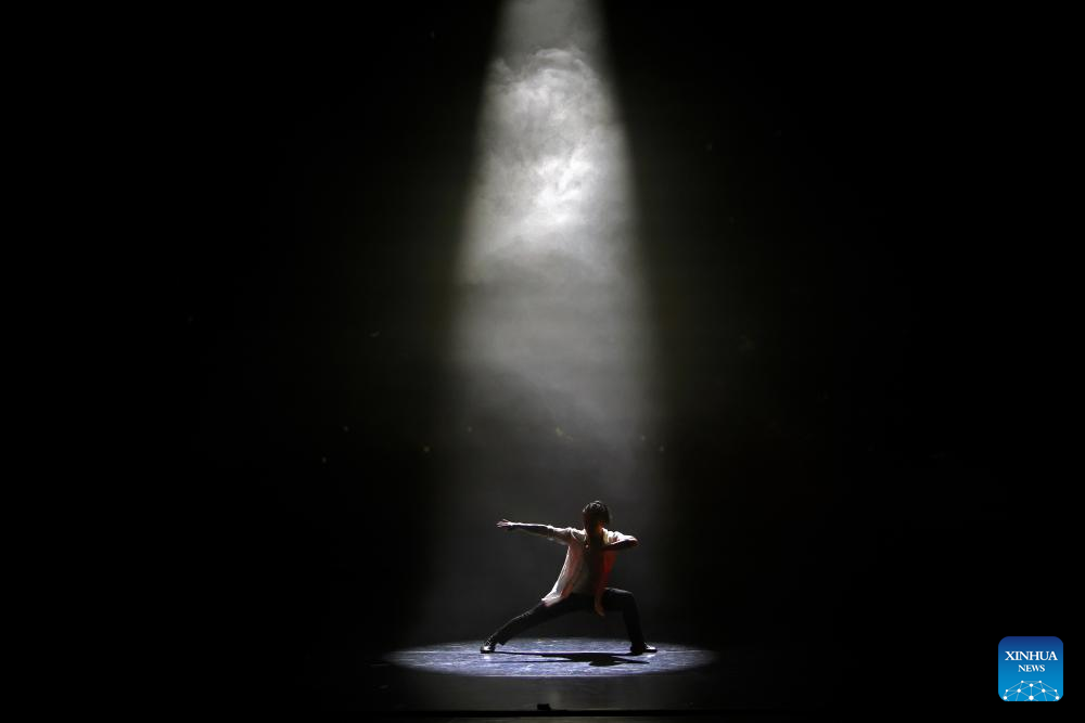Chinese Kung Fu dance drama captivates Romanian audience