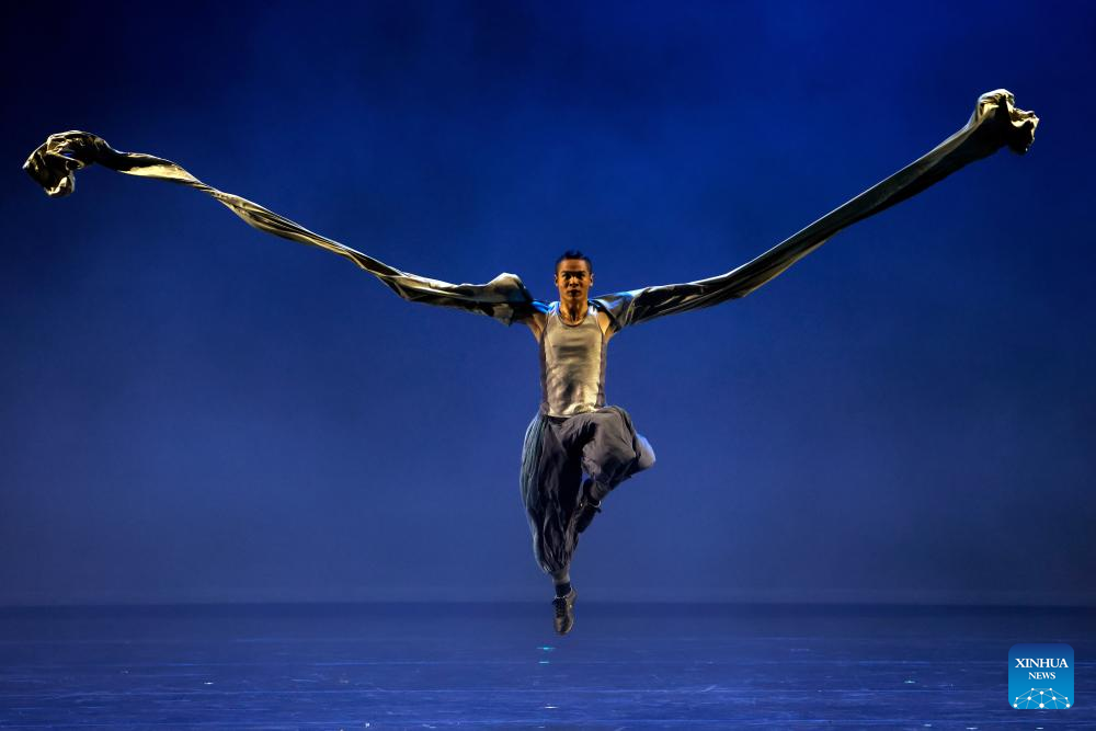 Chinese Kung Fu dance drama captivates Romanian audience