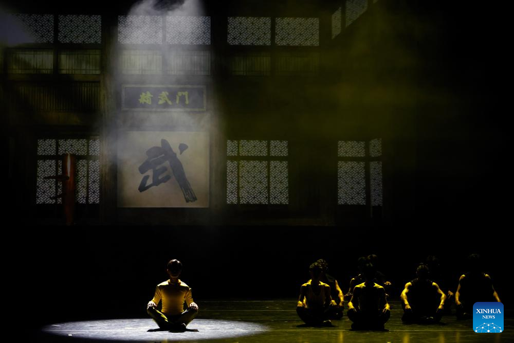 Chinese Kung Fu dance drama captivates Romanian audience