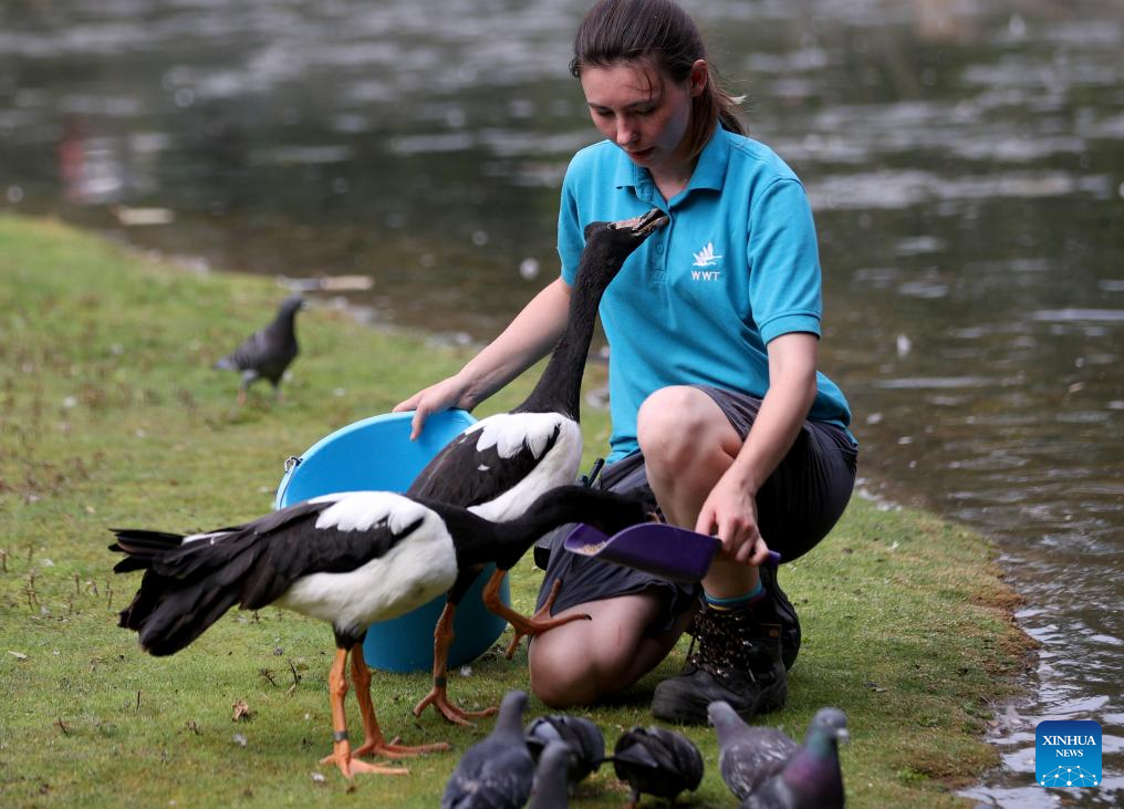 LensToLens: Wetlands guard bird species from plateau to urban landscape