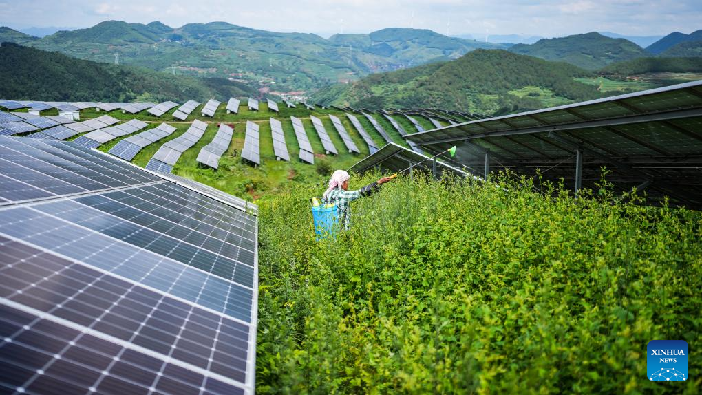 China's Guizhou strives to transform ecological advantages into developmental strengths