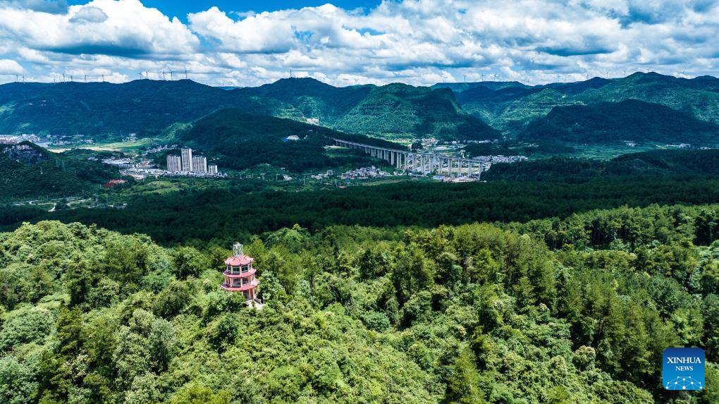 China's Guizhou strives to transform ecological advantages into developmental strengths