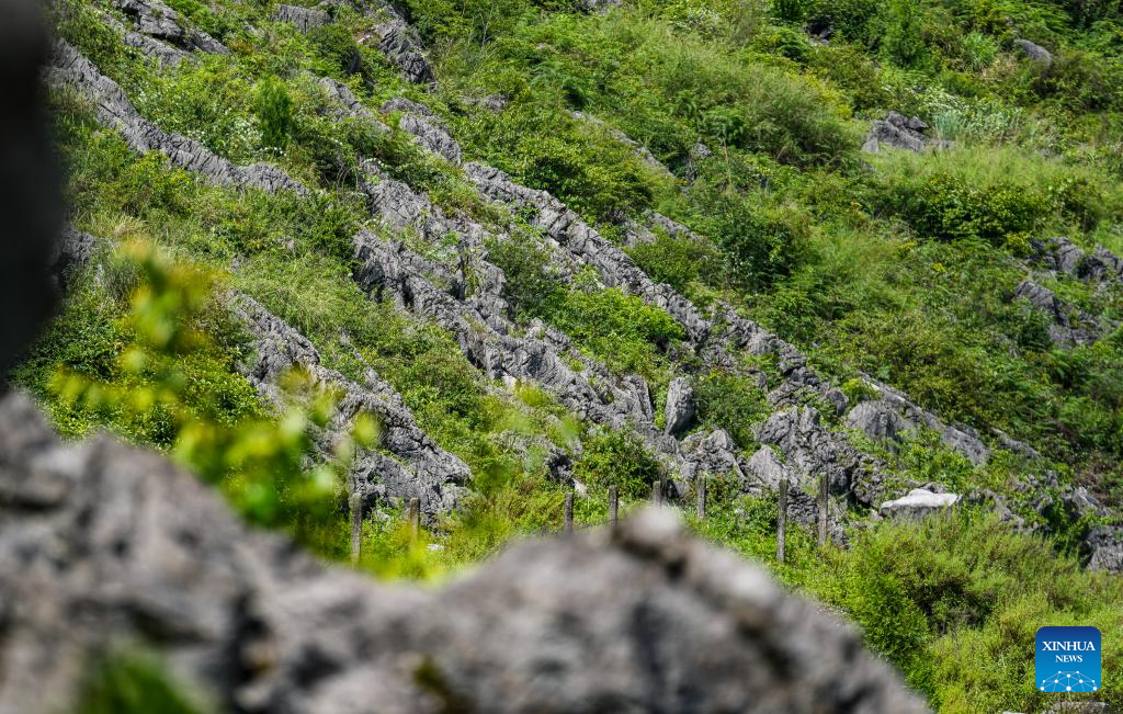China's Guizhou strives to transform ecological advantages into developmental strengths
