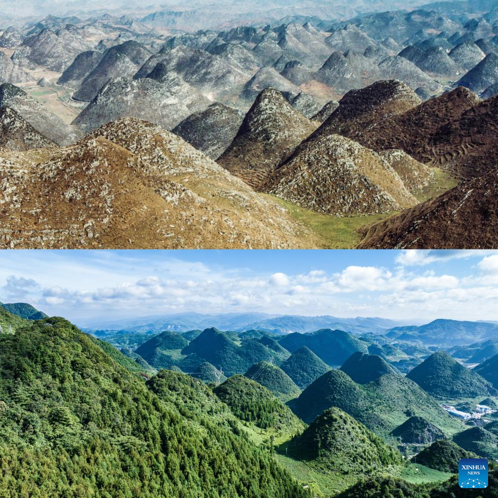 China's Guizhou strives to transform ecological advantages into developmental strengths