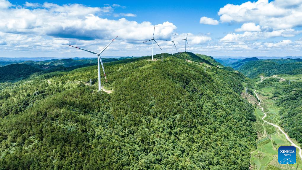 China's Guizhou strives to transform ecological advantages into developmental strengths