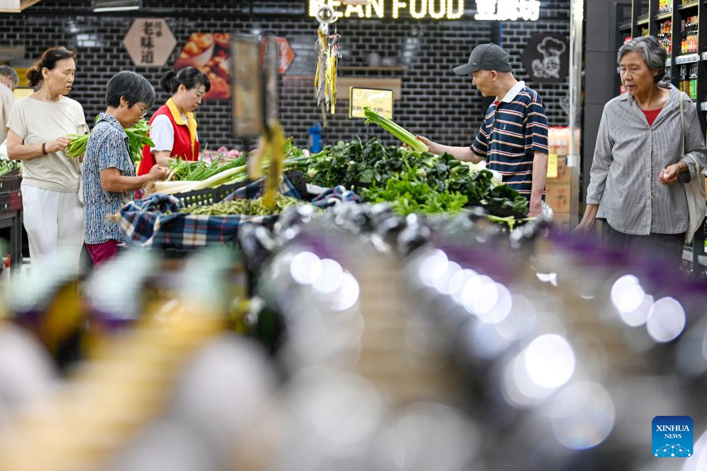 China's consumer prices rebound amid pro-consumption policies