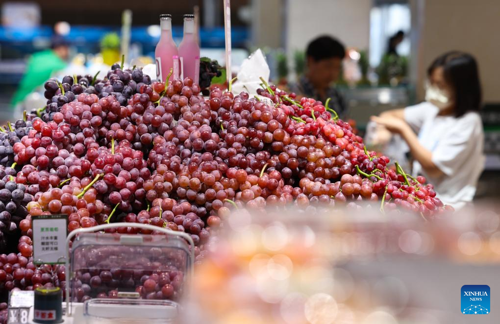 China's consumer prices rebound amid pro-consumption policies