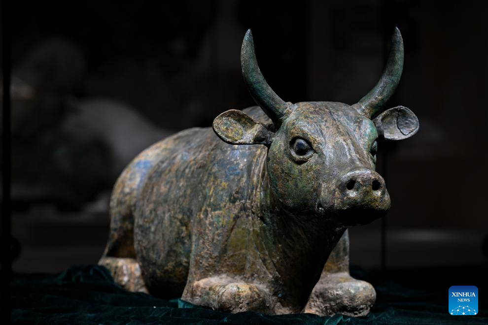 World Heritage inscription of Xixia Imperial Tombs advances Global Civilization Initiative: official
