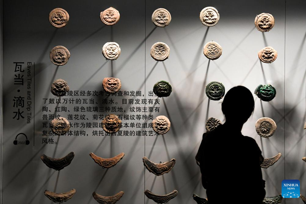 World Heritage inscription of Xixia Imperial Tombs advances Global Civilization Initiative: official
