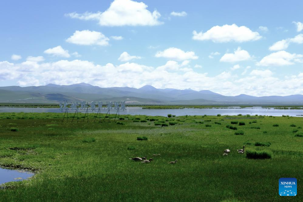 Ruoergai County in Sichuan enters peak summer tourism season